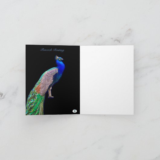 PEACOCK RESTING FOTO PHEASANT NOTE KAART (Binnen)