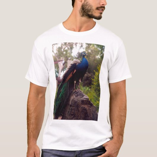 Peacock Rock 15-inch laptopskins T-shirt (Voorkant)