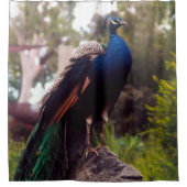 Peacock Rock Douchegordijn (Voorkant)