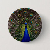 Peacock Ronde Button 5,7 Cm (Voorkant)