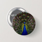 Peacock Ronde Button 5,7 Cm (Voorkant /achterkant)