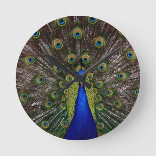 Peacock Ronde Klok