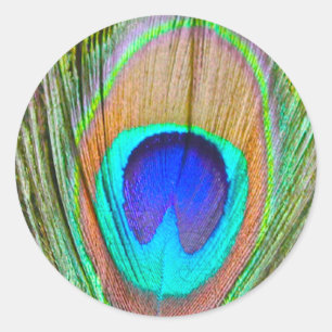 Peacock Ronde Sticker