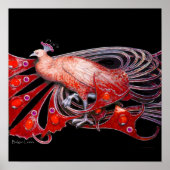 PEACOCK, rood paars grijs violet zwart Poster (Voorkant)