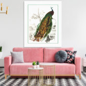 Peacock Roosting Canvas Afdruk (Insitu (Woonkamer))
