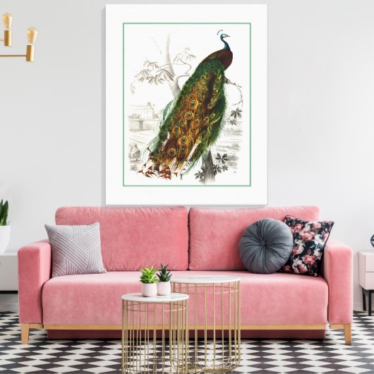 Peacock Roosting Canvas Afdruk (Insitu (Woonkamer))