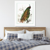 Peacock Roosting Canvas Afdruk (Insitu (Slaapkamer))