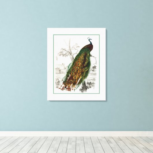 Peacock Roosting Canvas Afdruk (Insitu (Houten vloer))
