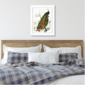 Peacock Roosting Canvas Afdruk (Insitu (Slaapkamer))