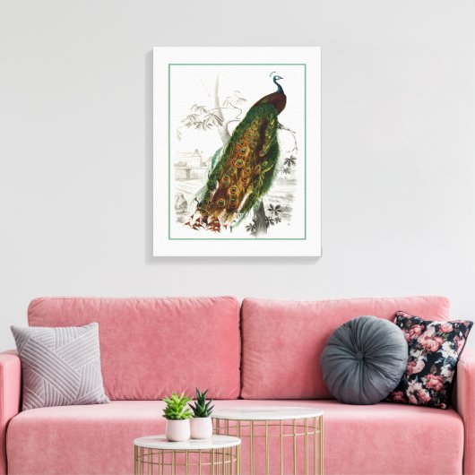 Peacock Roosting Canvas Afdruk (Insitu (Woonkamer))