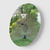 Peacock Round (groot) wandklok (Hoek)