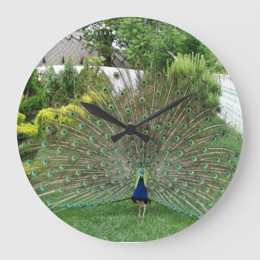 Peacock Round (groot) wandklok (Voorkant)