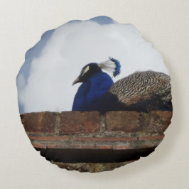 Peacock Round Pillow Rond Kussen