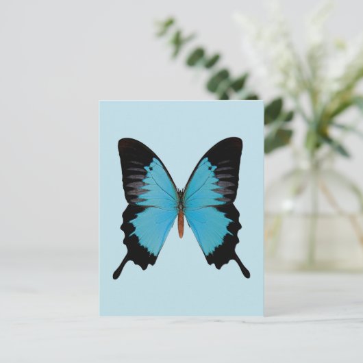 Peacock Royal Briefkaart (Staand voorkant)