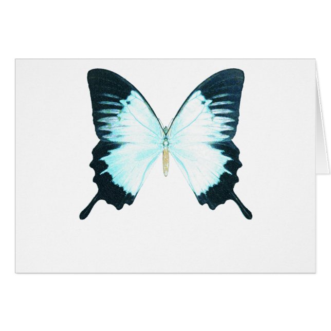 Peacock Royal Butterfly (Voorkant Horizontaal)