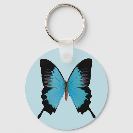 Peacock Royal Sleutelhanger (Voorkant)