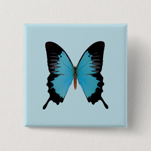 Peacock Royal Vierkante Button 5,1 Cm (Voorkant)