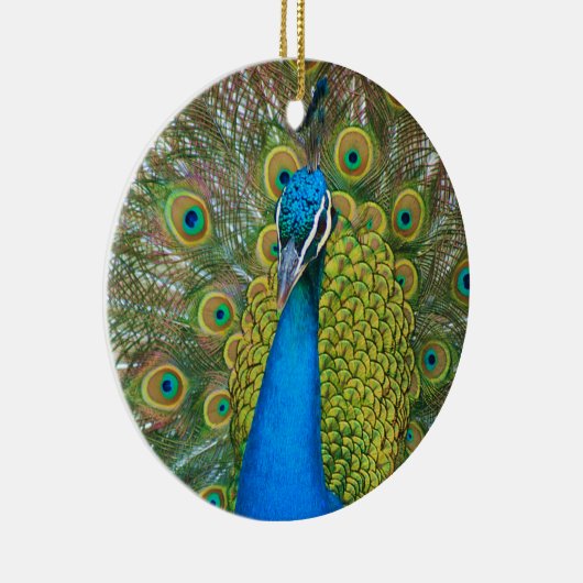 Peacock S9K.jpg Keramisch Ornament (Rechts)