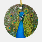 Peacock S9K.jpg Keramisch Ornament (Voorkant)