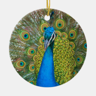 Peacock S9K.jpg Keramisch Ornament