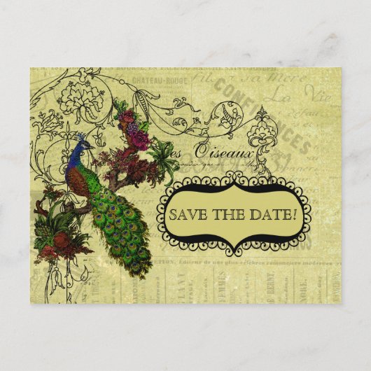 Peacock Save the Date Briefkaart (Achterkant)