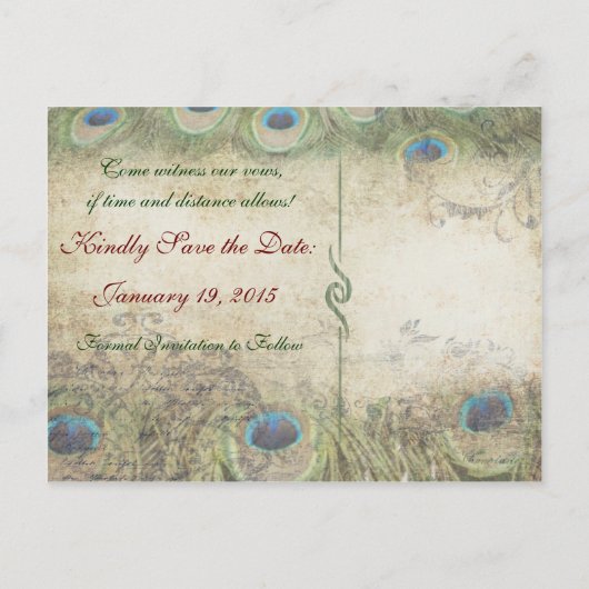 Peacock Save the Date Photo Briefkaart (Achterkant)