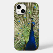 Peacock-scherm Case-Mate iPhone Case (Achterkant)