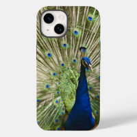Peacock-scherm