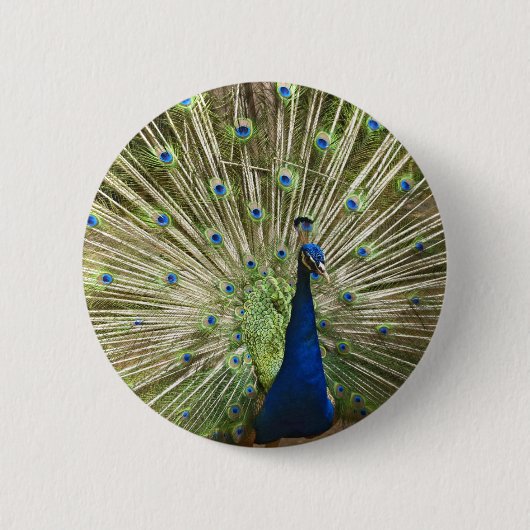Peacock-scherm Ronde Button 5,7 Cm (Voorkant)