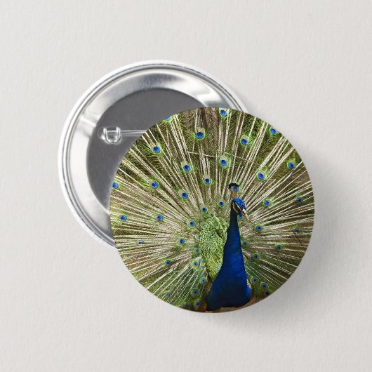 Peacock-scherm Ronde Button 5,7 Cm (Voorkant /achterkant)