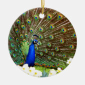 Peacock-schermen Keramisch Ornament (Voorkant)
