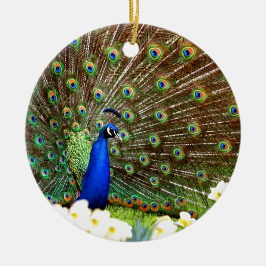 Peacock-schermen Keramisch Ornament (Voorkant)