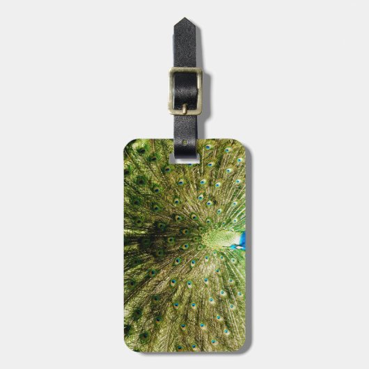 Peacock-schermkleuren Bagagelabel (Voorkant verticaal)