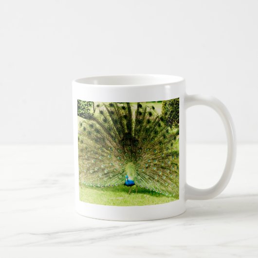 Peacock-schermkleuren Koffiemok (Rechts)