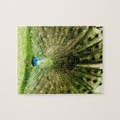 Peacock-schermkleuren Legpuzzel (Horizontaal)