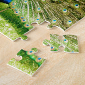 Peacock-schermkleuren Legpuzzel (Zijkant)