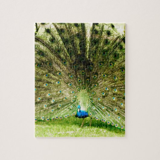 Peacock-schermkleuren Legpuzzel (Verticaal)
