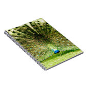 Peacock-schermkleuren Notitieboek (Rechterzijde)