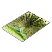 Peacock-schermkleuren Notitieboek (Linkerzijde)