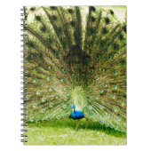 Peacock-schermkleuren Notitieboek (Voorkant)