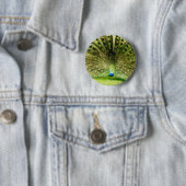 Peacock-schermkleuren Ronde Button 5,7 Cm (In situ)
