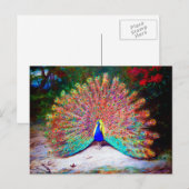  Peacock schilderen Briefkaart (Voorkant / Achterkant)