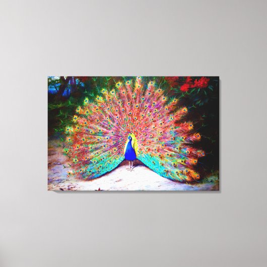 Peacock schilderen Canvas Afdruk (Voorkant)