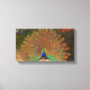 Peacock schilderen Canvas Afdruk