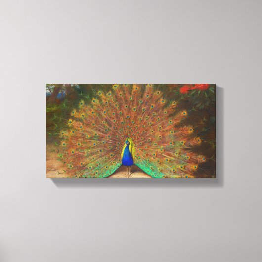  Peacock schilderen Canvas Afdruk (Voorkant)