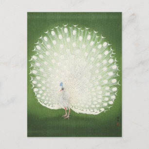 Peacock schilderen door het Briefkaart van Ohara K