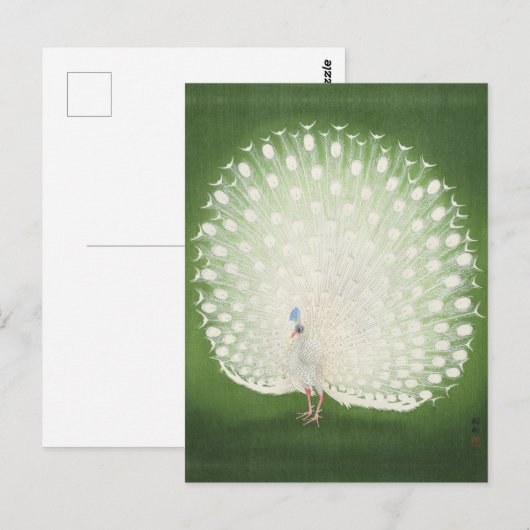 Peacock schilderen door het Briefkaart van Ohara K (Voorkant / Achterkant)