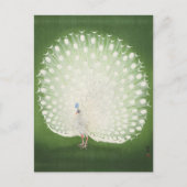 Peacock schilderen door het Briefkaart van Ohara K (Voorkant)