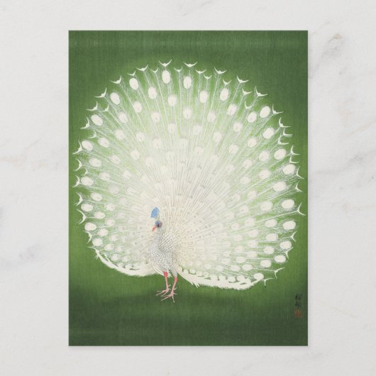 Peacock schilderen door het Briefkaart van Ohara K (Voorkant)