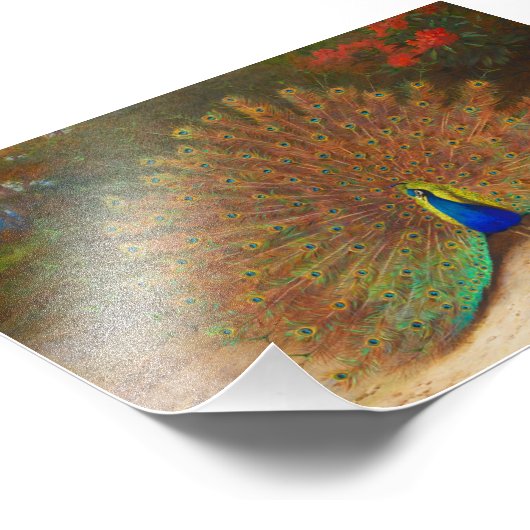  Peacock schilderen Foto Afdruk (Hoek)